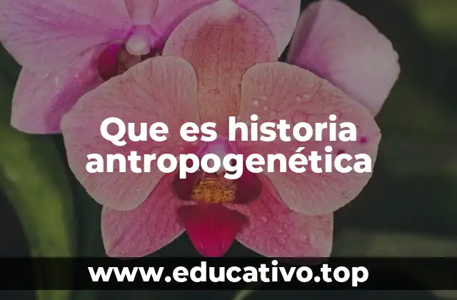 Que es historia antropogenética