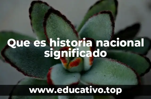 Que es historia nacional significado