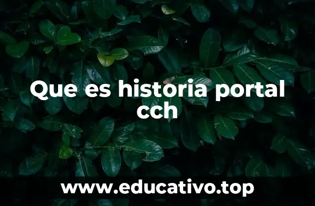 Que es historia portal cch
