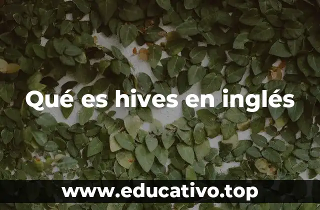 Qué es hives en inglés