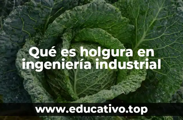 La importancia de la holgura en la planificación industrial