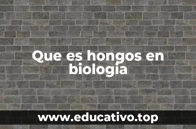 Que es hongos en biologia