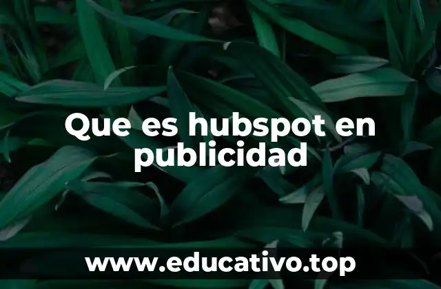 Que es hubspot en publicidad