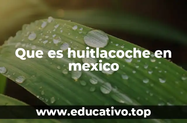 Que es huitlacoche en mexico