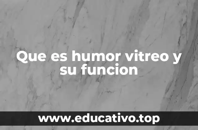 Que es humor vitreo y su funcion