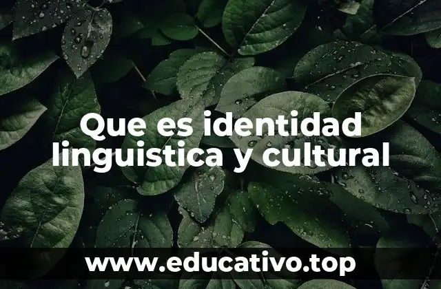 Que es identidad linguistica y cultural
