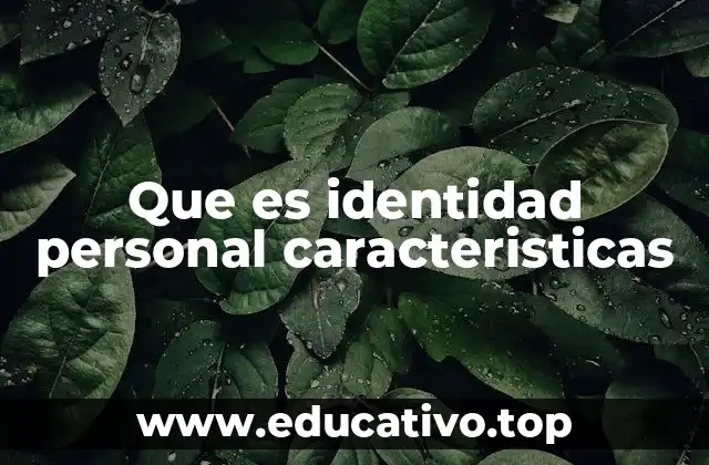 Que es identidad personal caracteristicas