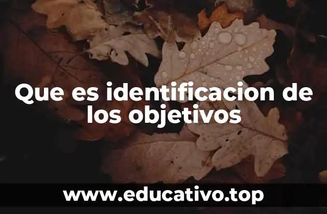 Que es identificacion de los objetivos
