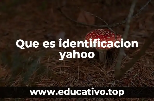 Que es identificacion yahoo