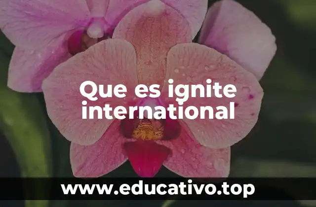 La visión educativa detrás de Ignite International