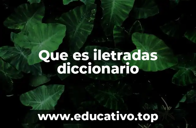 El impacto social de la falta de educación formal
