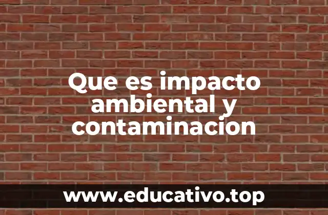 Cómo la actividad humana afecta el entorno natural
