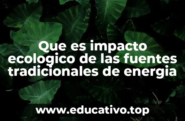 Que es impacto ecologico de las fuentes tradicionales de energia