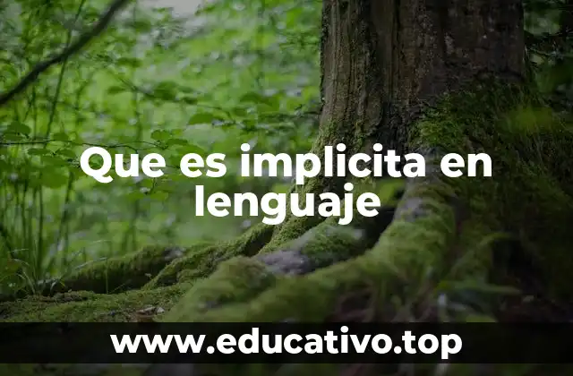 Que es implicita en lenguaje