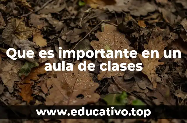Que es importante en un aula de clases