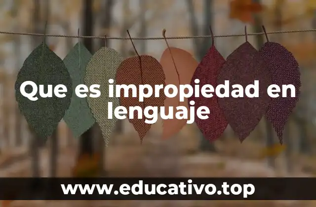 Que es impropiedad en lenguaje