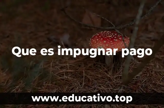 Cómo se aplica el proceso de impugnación de pagos en la práctica