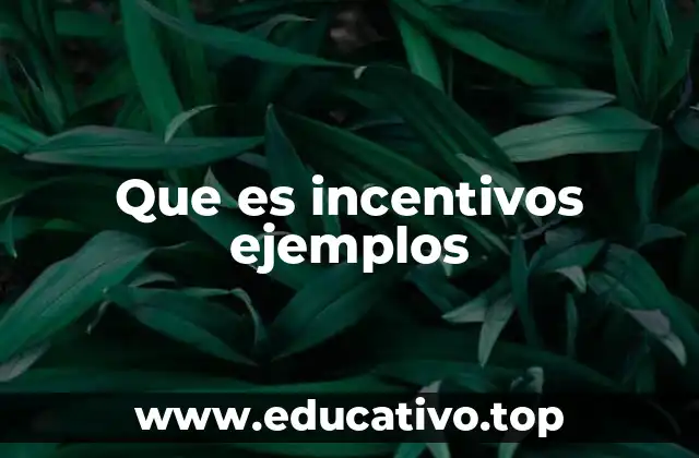 Que es incentivos ejemplos