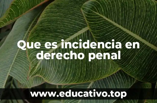El papel de las incidencias en la estructura del proceso penal