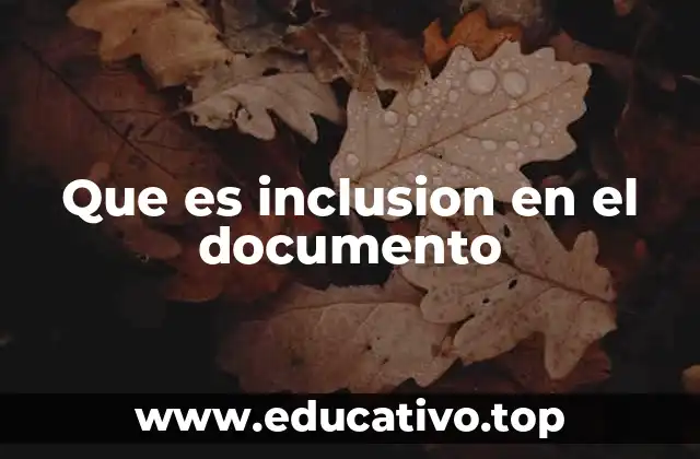 Que es inclusion en el documento