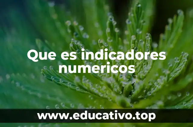 Que es indicadores numericos