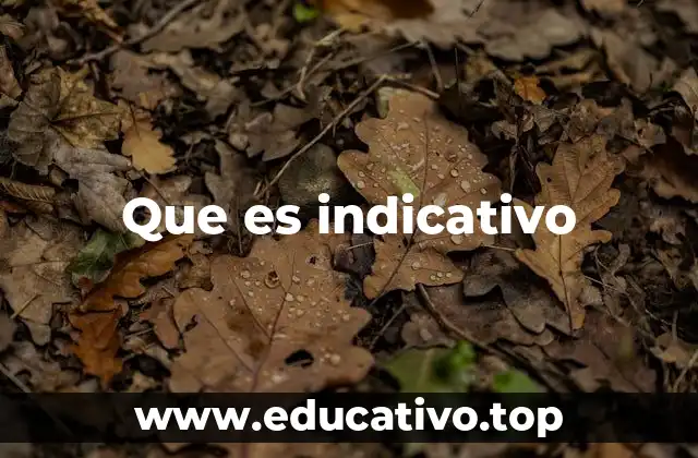 El papel del indicativo en la comunicación efectiva