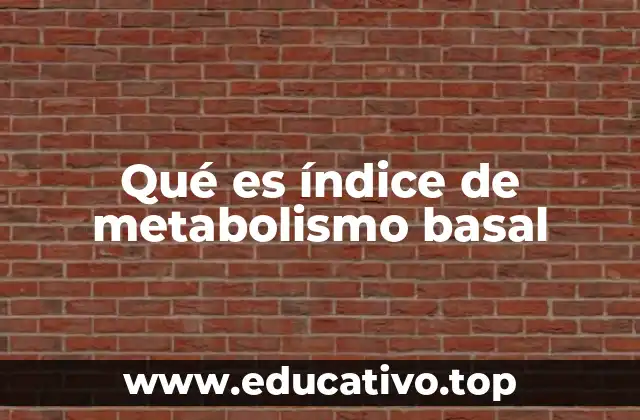 Qué es índice de metabolismo basal