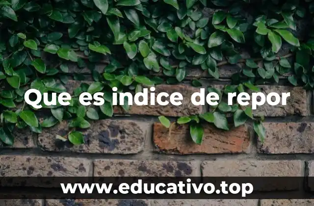 El rol del índice de repor en el análisis de datos