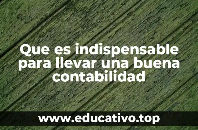 La base de una contabilidad eficiente sin mencionar directamente el término