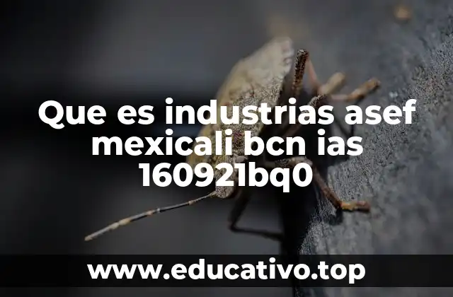 Que es industrias asef mexicali bcn ias 160921bq0