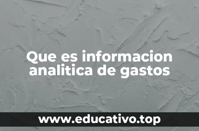 Que es informacion analitica de gastos