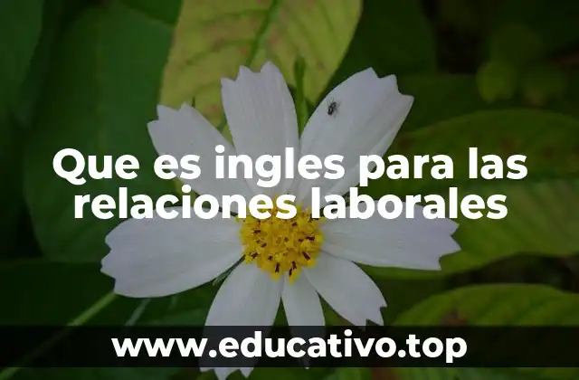 La importancia del inglés en el entorno profesional