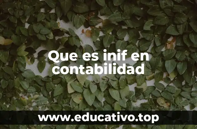 Que es inif en contabilidad