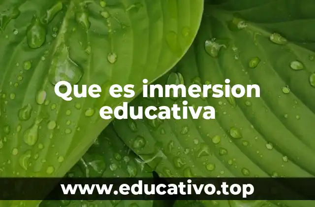 Que es inmersion educativa