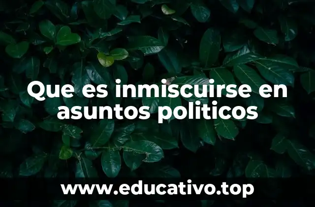 Que es inmiscuirse en asuntos politicos
