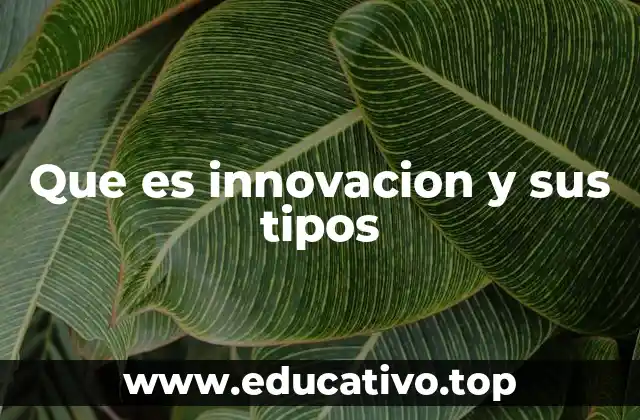 Que es innovacion y sus tipos