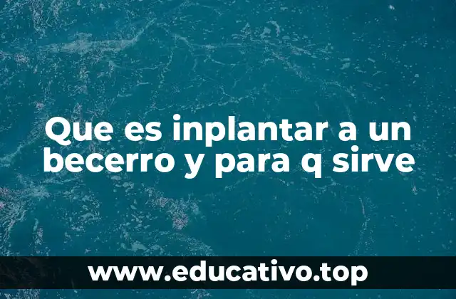 Que es inplantar a un becerro y para q sirve
