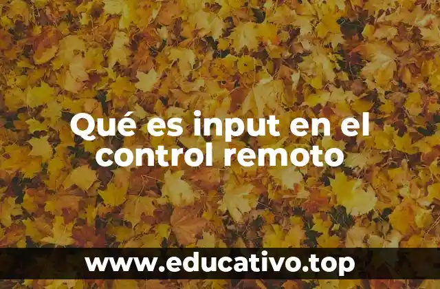 Qué es input en el control remoto
