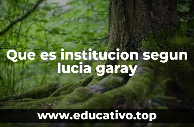 Que es institucion segun lucia garay