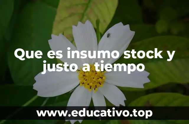 Que es insumo stock y justo a tiempo