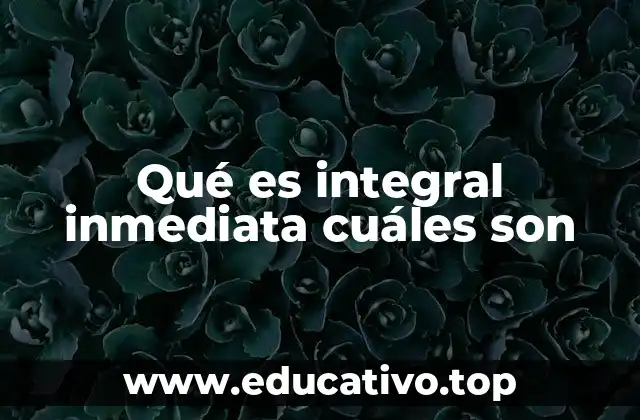 Qué es integral inmediata cuáles son