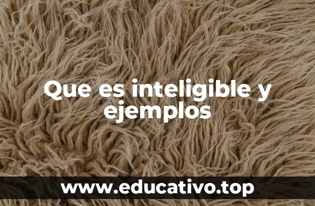 Que es inteligible y ejemplos