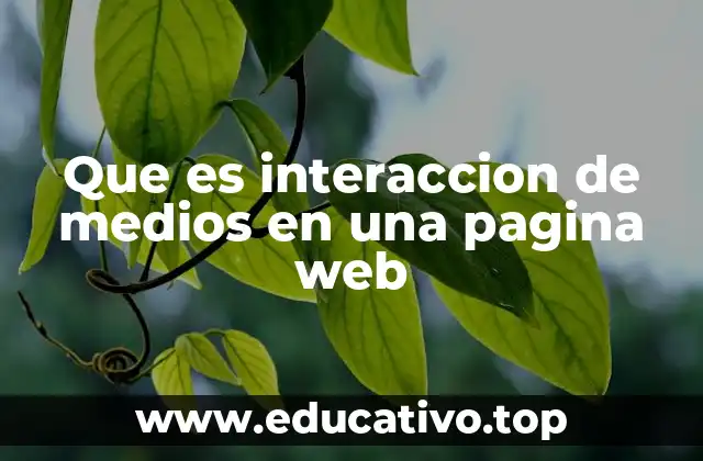 Que es interaccion de medios en una pagina web