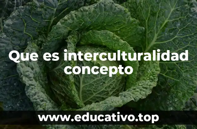 Que es interculturalidad concepto