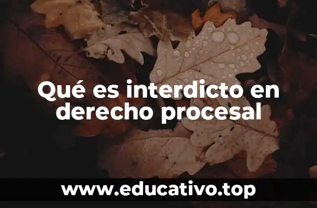 Qué es interdicto en derecho procesal