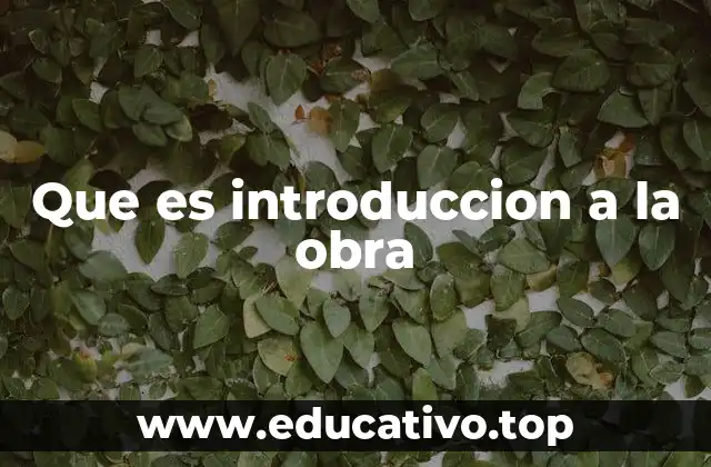 Que es introduccion a la obra