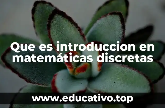 Que es introduccion en matemáticas discretas