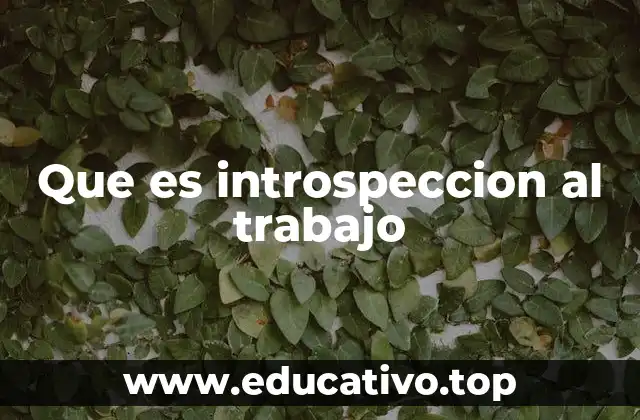 Que es introspeccion al trabajo