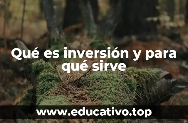 Qué es inversión y para qué sirve