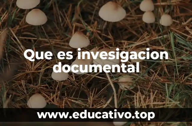 La base de la investigación documental en el conocimiento académico
